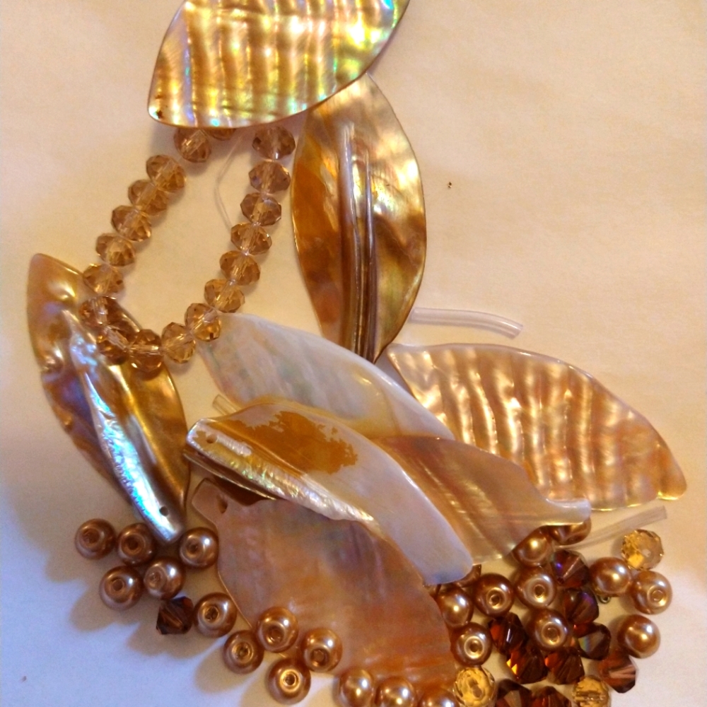 This is amazing real shell beads
